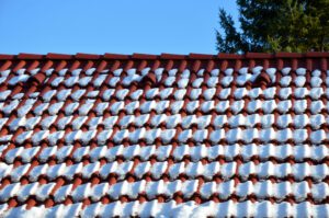 Is jouw dak herfst en winter proof?